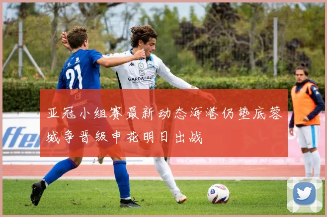 亚冠小组赛最新动态海港仍垫底蓉城争晋级申花明日出战