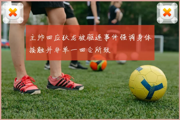 主帅回应狄龙被驱逐事件强调身体接触并非单一回合所致