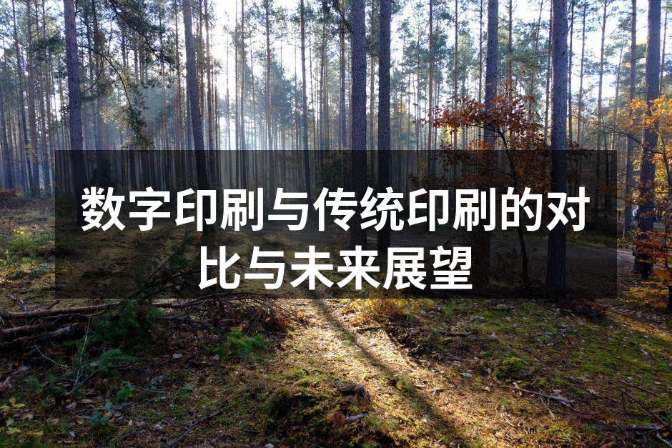 数字印刷展现出灵活的设计方案
